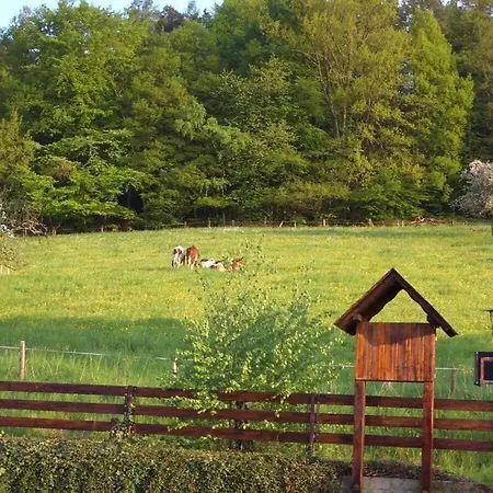 펜션 Haus Fernblick 1 *